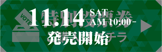 특별 투표권 11.14(토) AM10:00~ 발매 시작